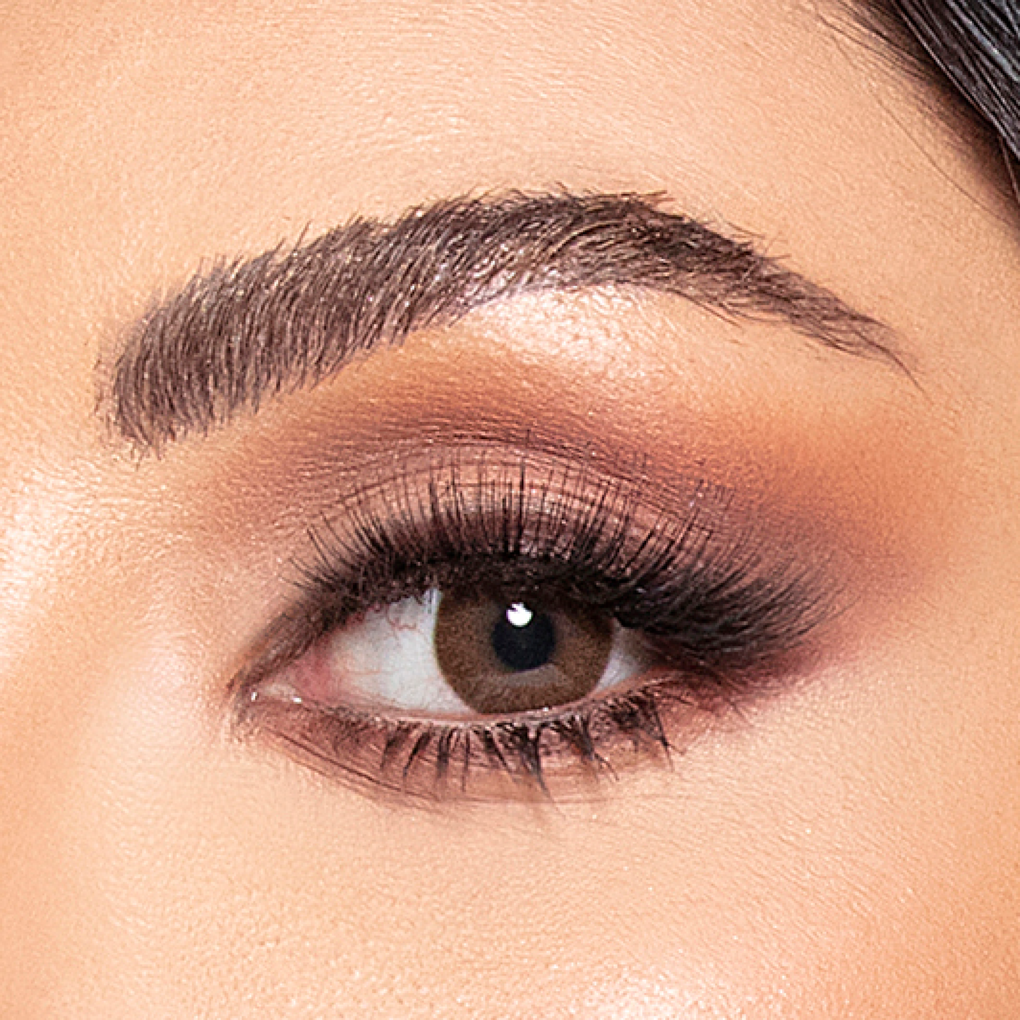 عدسات أمارا - بيرند سينامون