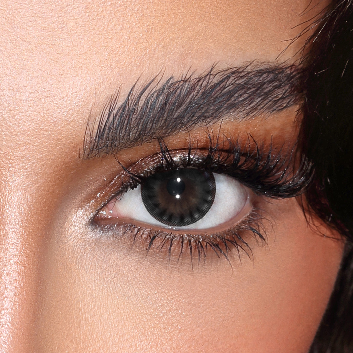 Contact Lenses - Dark Night