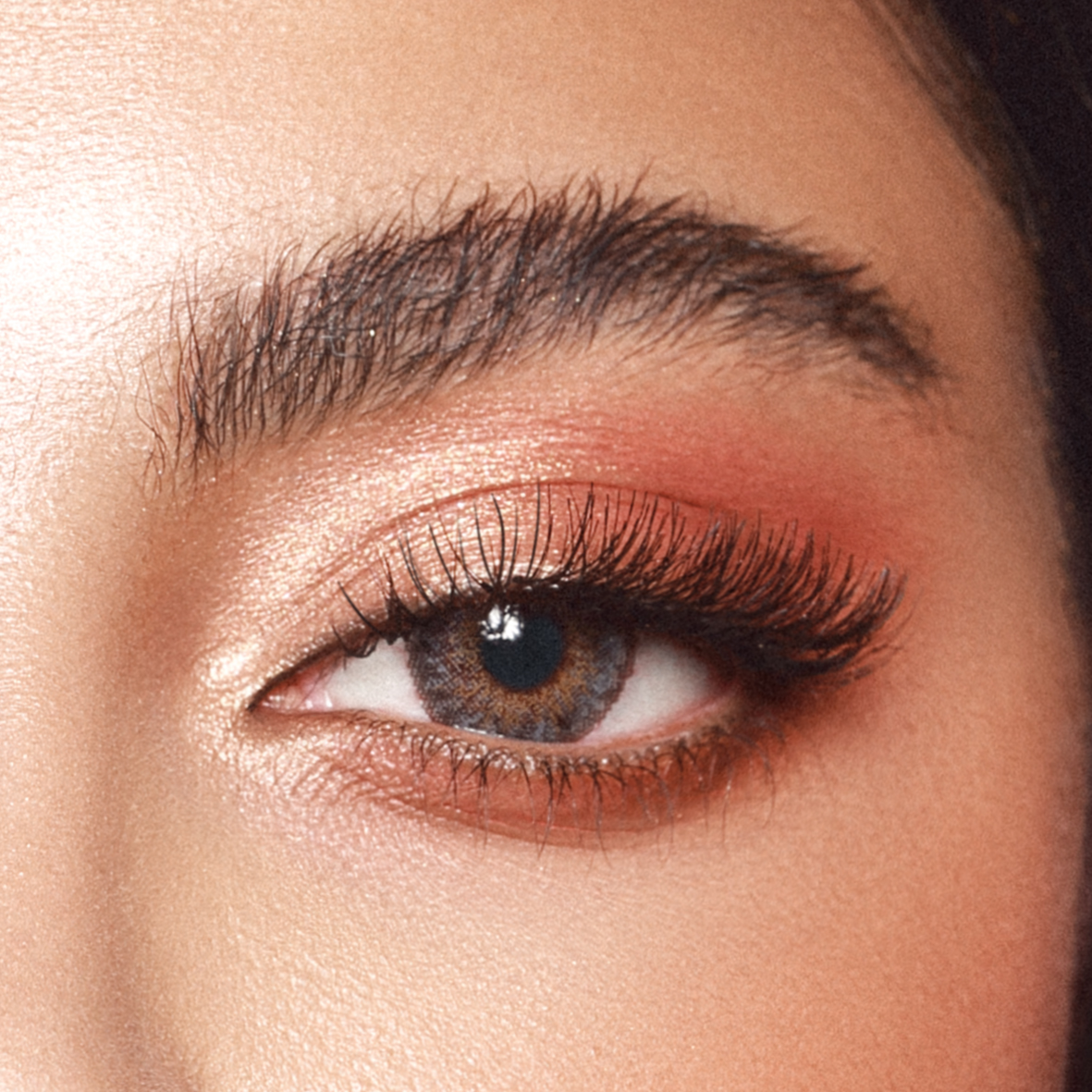 Amara Color Contact Lenses - Crème Brûlée عدسات أمارا - كريم بروليه