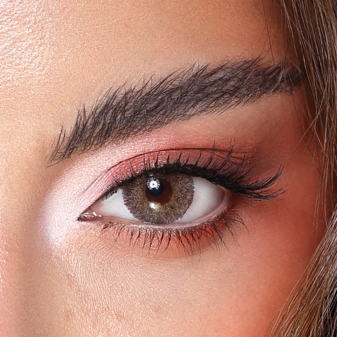 عدسات فاطمة المؤمن من امارا باين أبل Amara Color Contact Lenses - Pineapple عدسات أمارا - باينابل