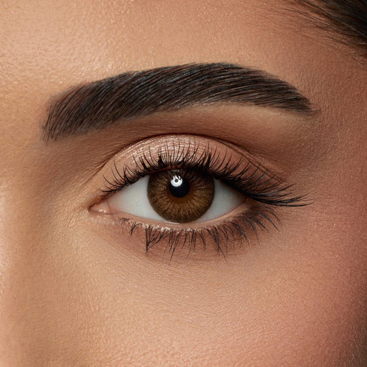 Amara Color Contact Lenses - Amber (one day)