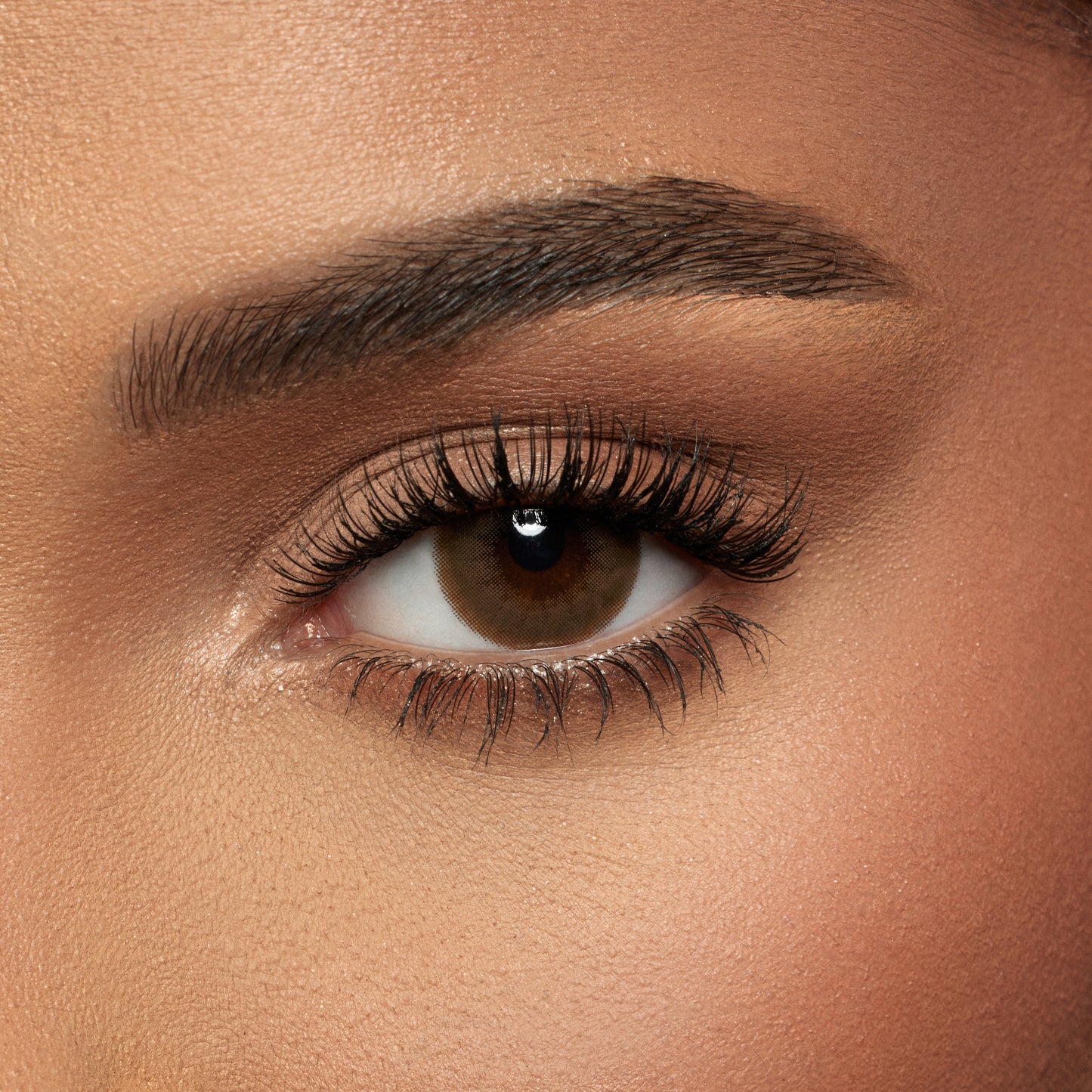 Contact Lenses - Mocca