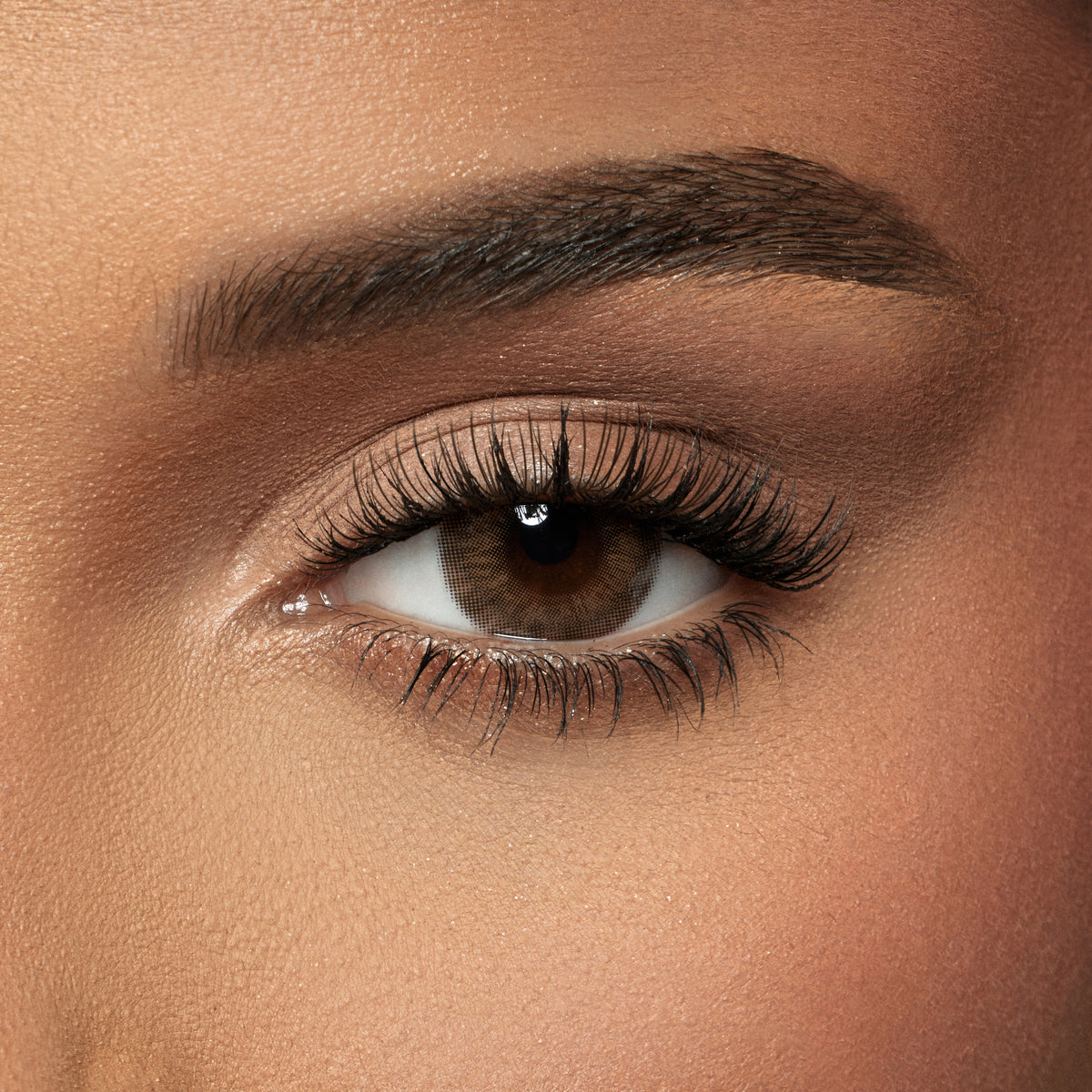 Amara Choco Amara Color Contact Lenses - Almond – Amara Lenses