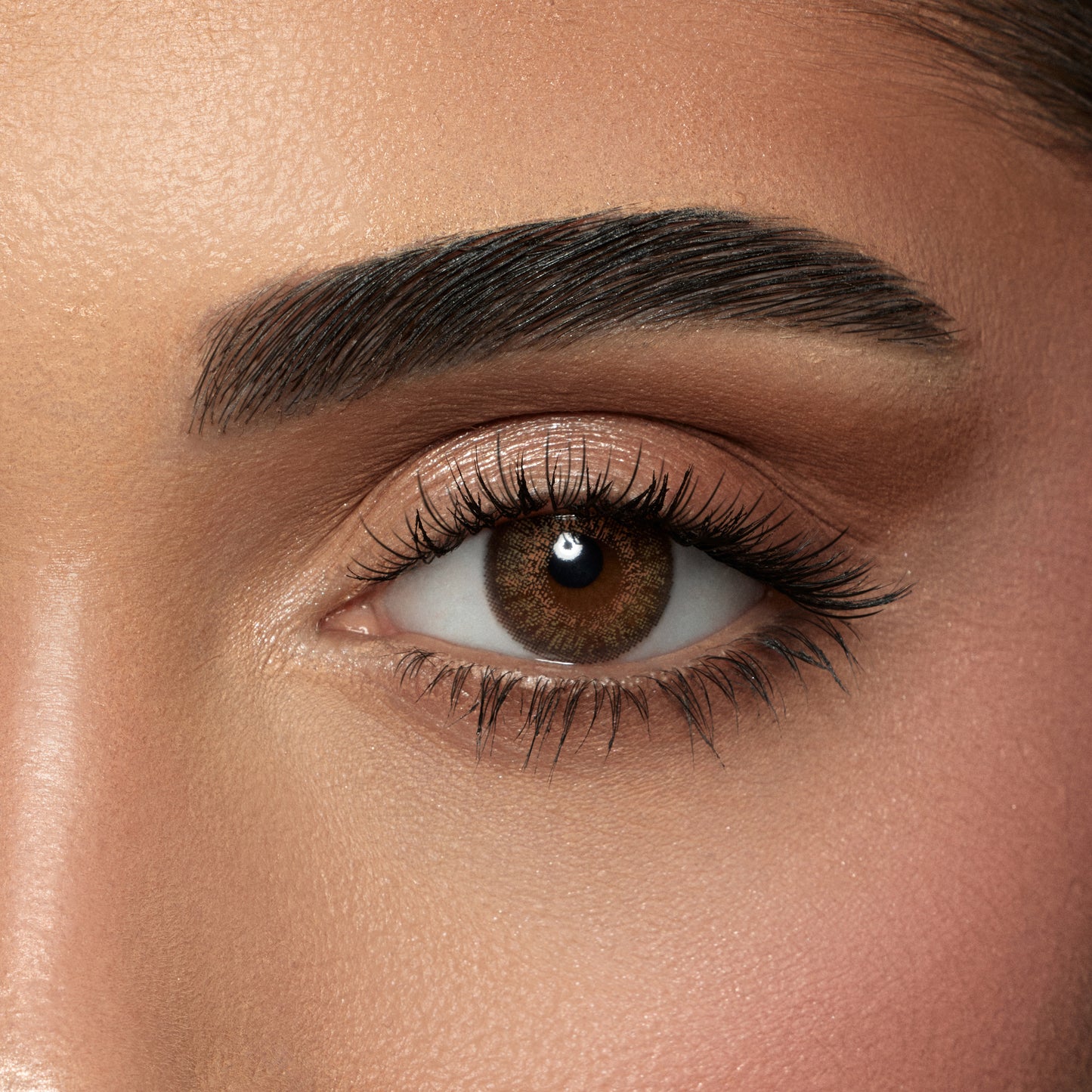 Contact Lenses - Shadow