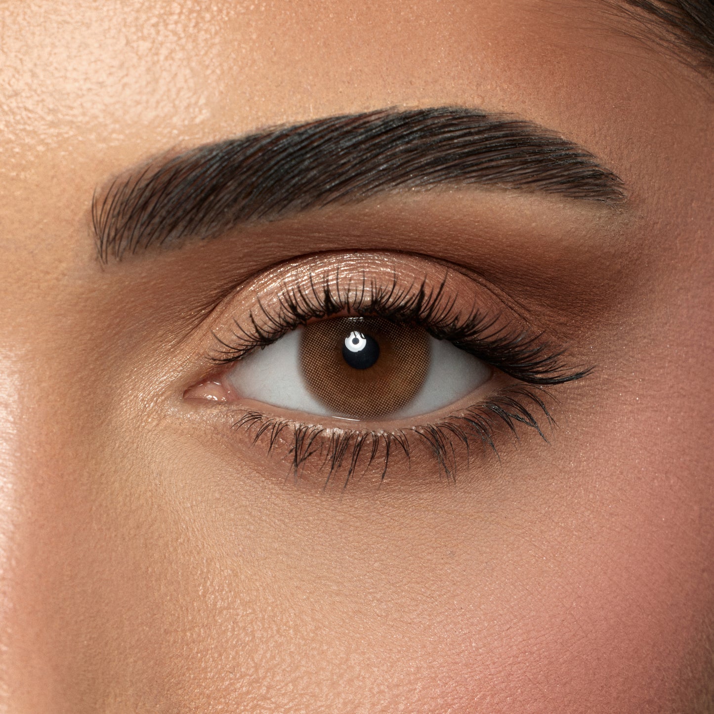 Amara Color Contact Lenses (One Day ) -  Toffee