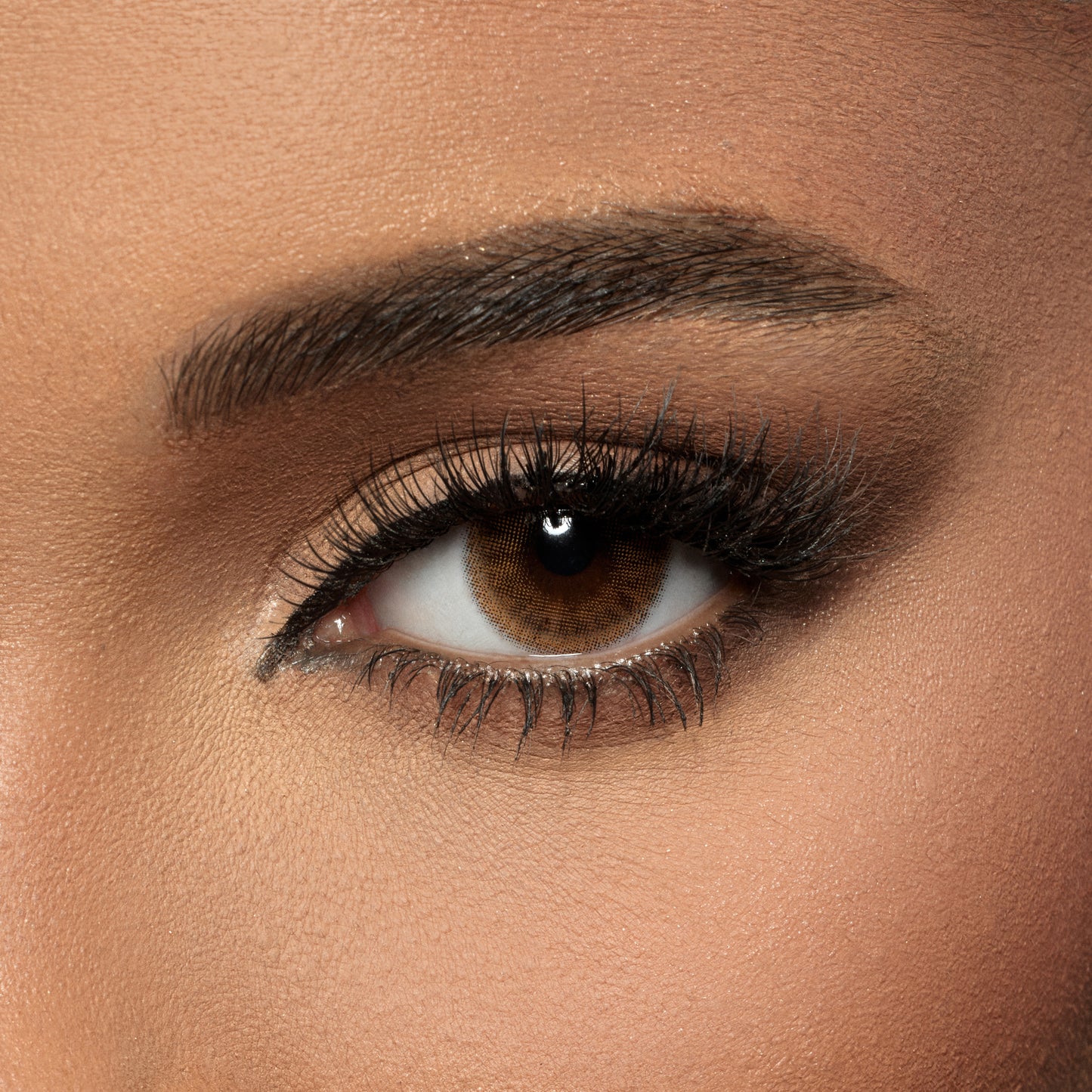 Amara Color Contact Lenses -  Brunette