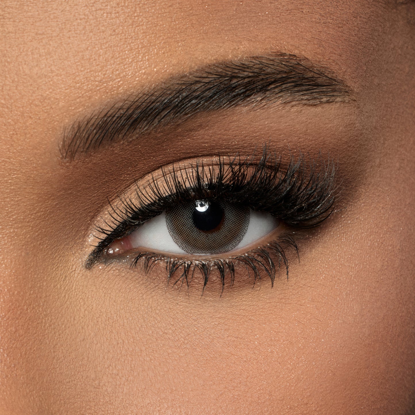 Amara Color Contact Lenses - Modern Gray