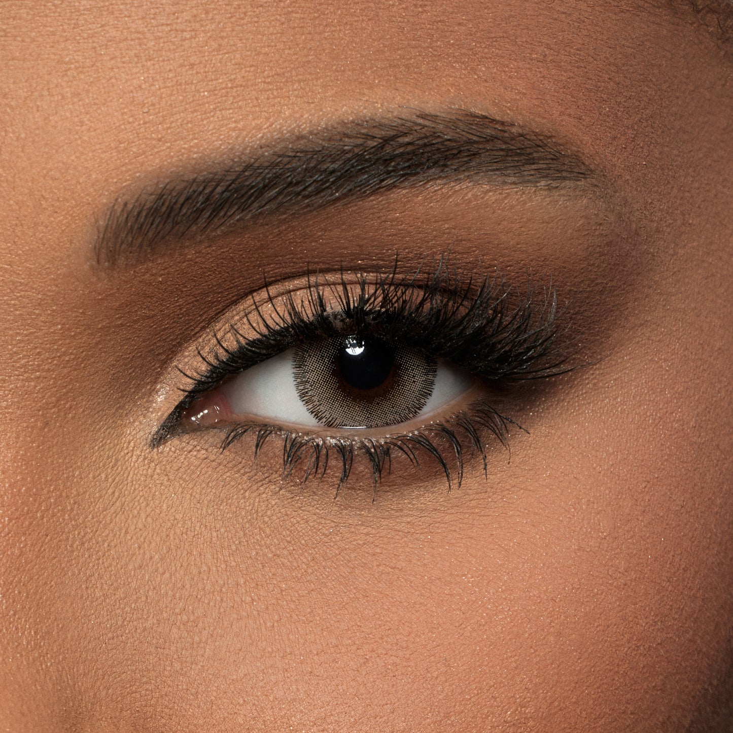 Contact Lenses - Hazel Wood