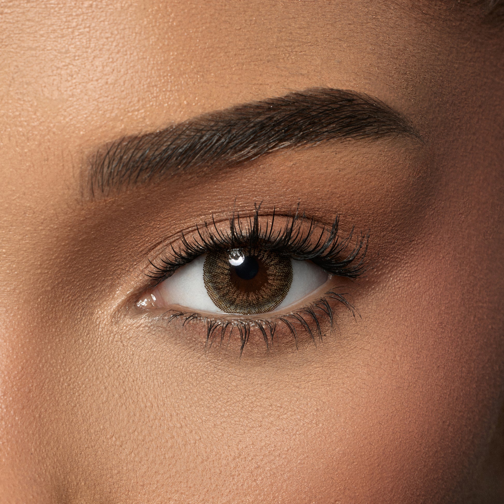 Amara Choco Amara Color Contact Lenses - Amber (one day) – Amara Lenses