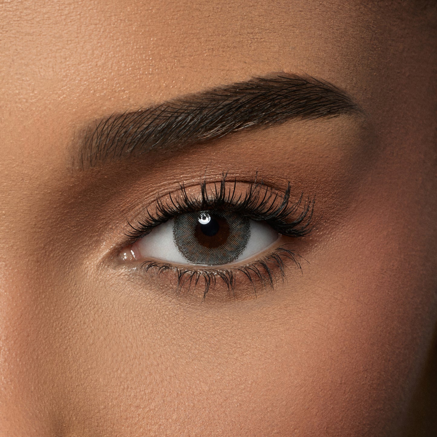 Amara Color Contact Lenses (One Day ) -  Shark Gray