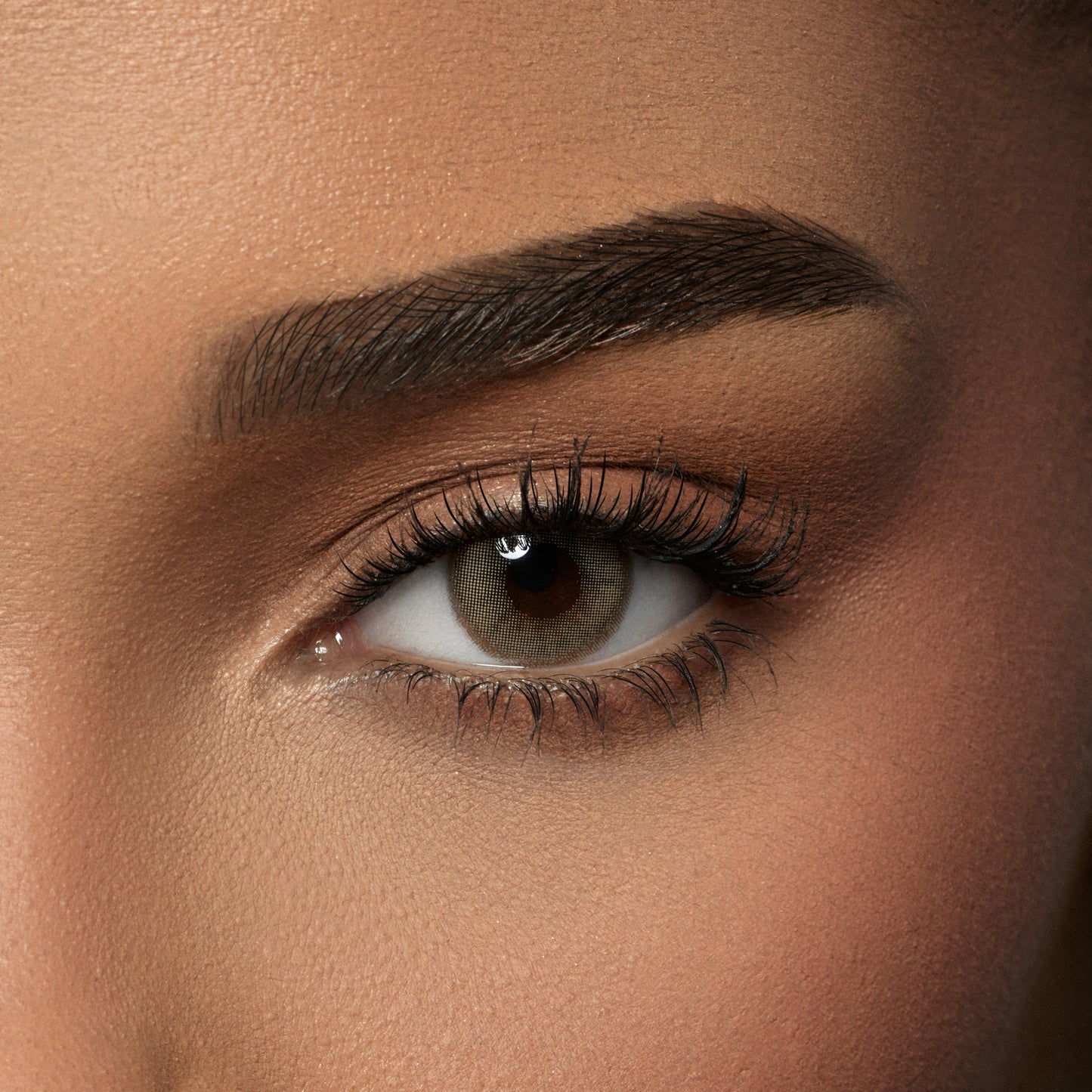 Contact Lenses - Honey