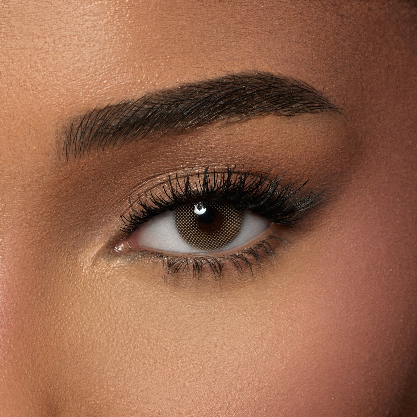 Amara Color Contact Lenses -  Pure Hazel