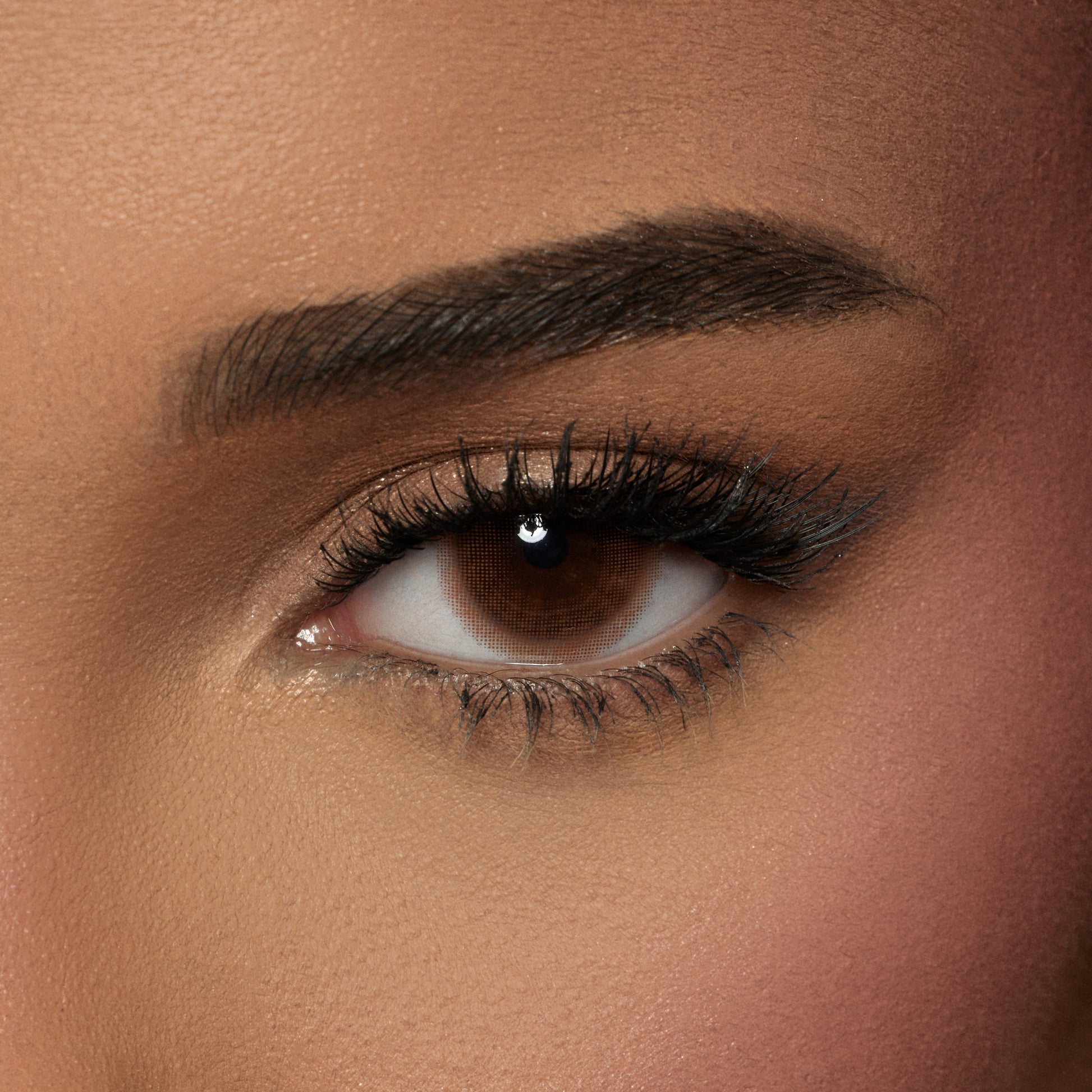 Amara Color Contact Lenses Biscuit Amara Lenses amara-color-contact-lenses-biscuit-amara-lenses