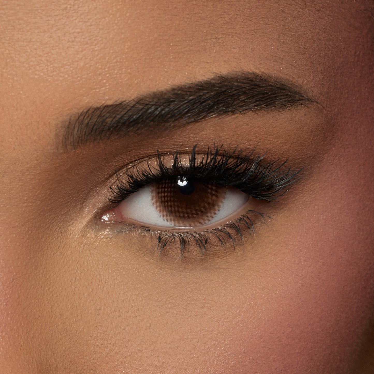 Amara Color Contact Lenses -  Biscuit