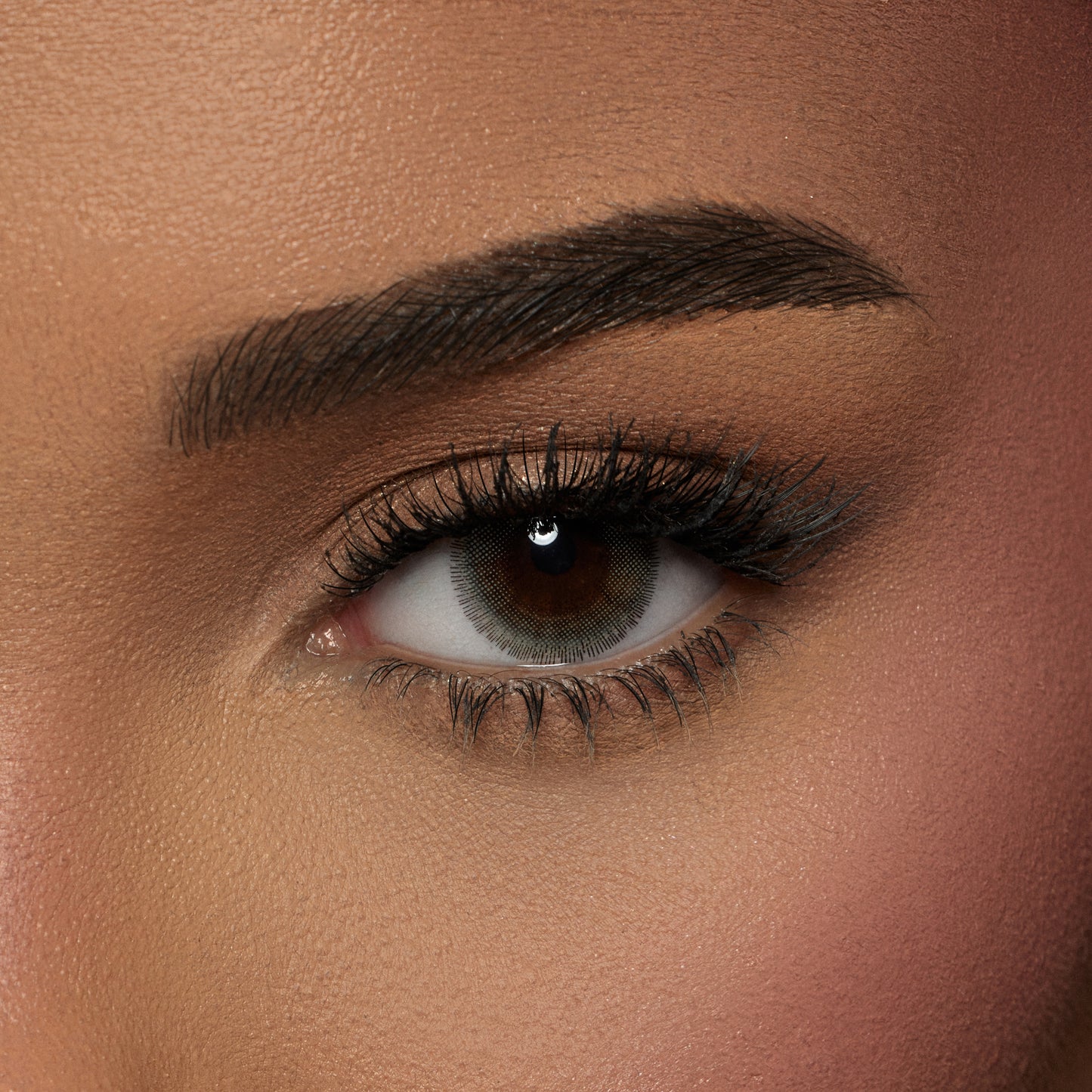 Amara Color Contact Lenses -  Dream