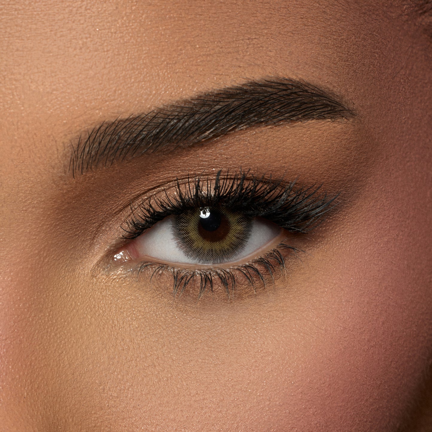 Contact Lenses - Spanish Latte