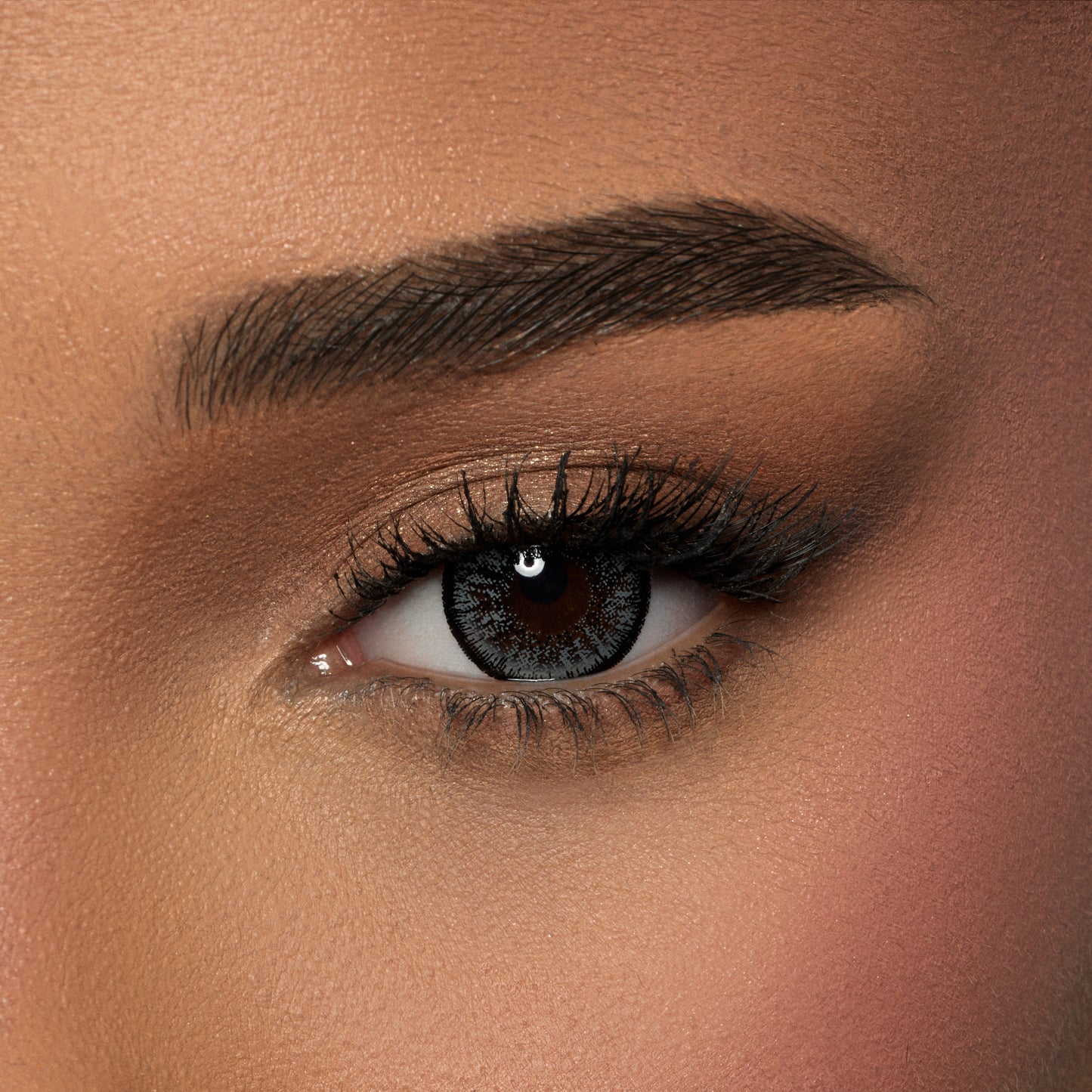 Amara Color Contact Lenses -  Charcoal Gray