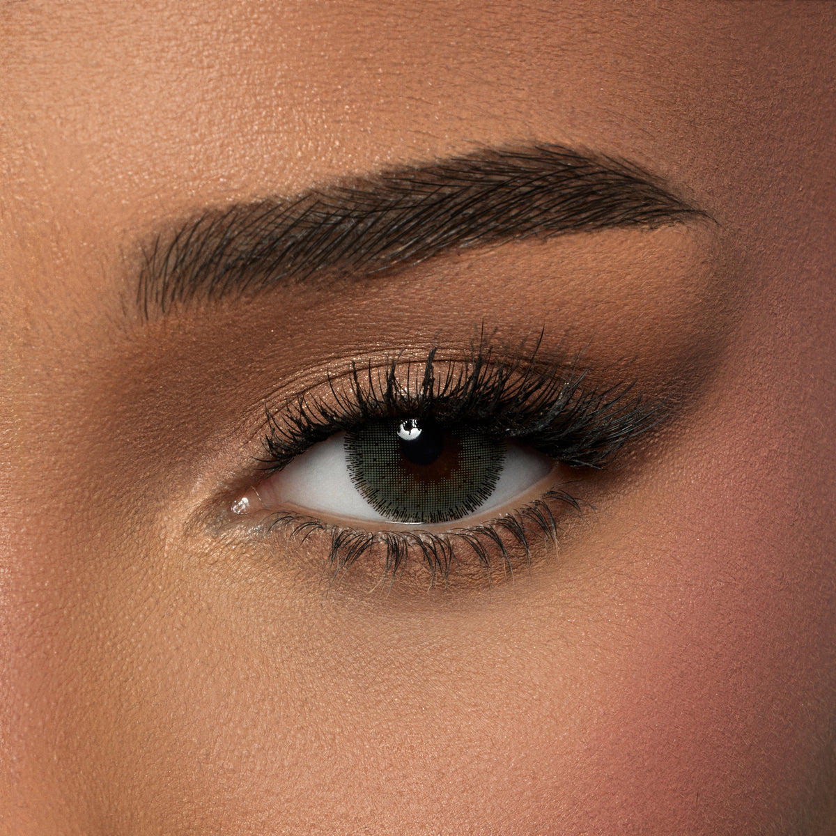 Amara Choco Amara Color Contact Lenses - Kelly – Amara Lenses