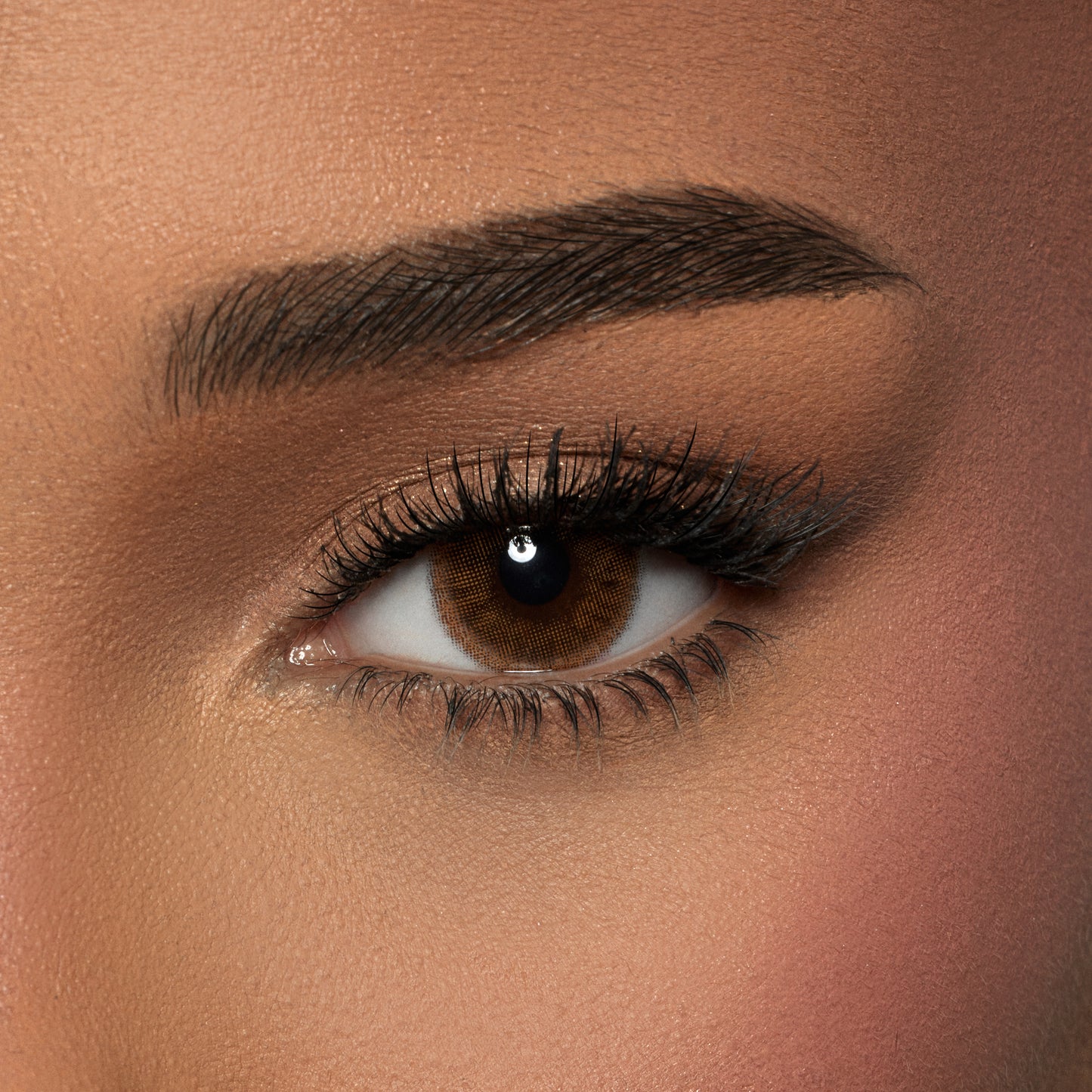 Amara Color Contact Leِnses -  Macchiato