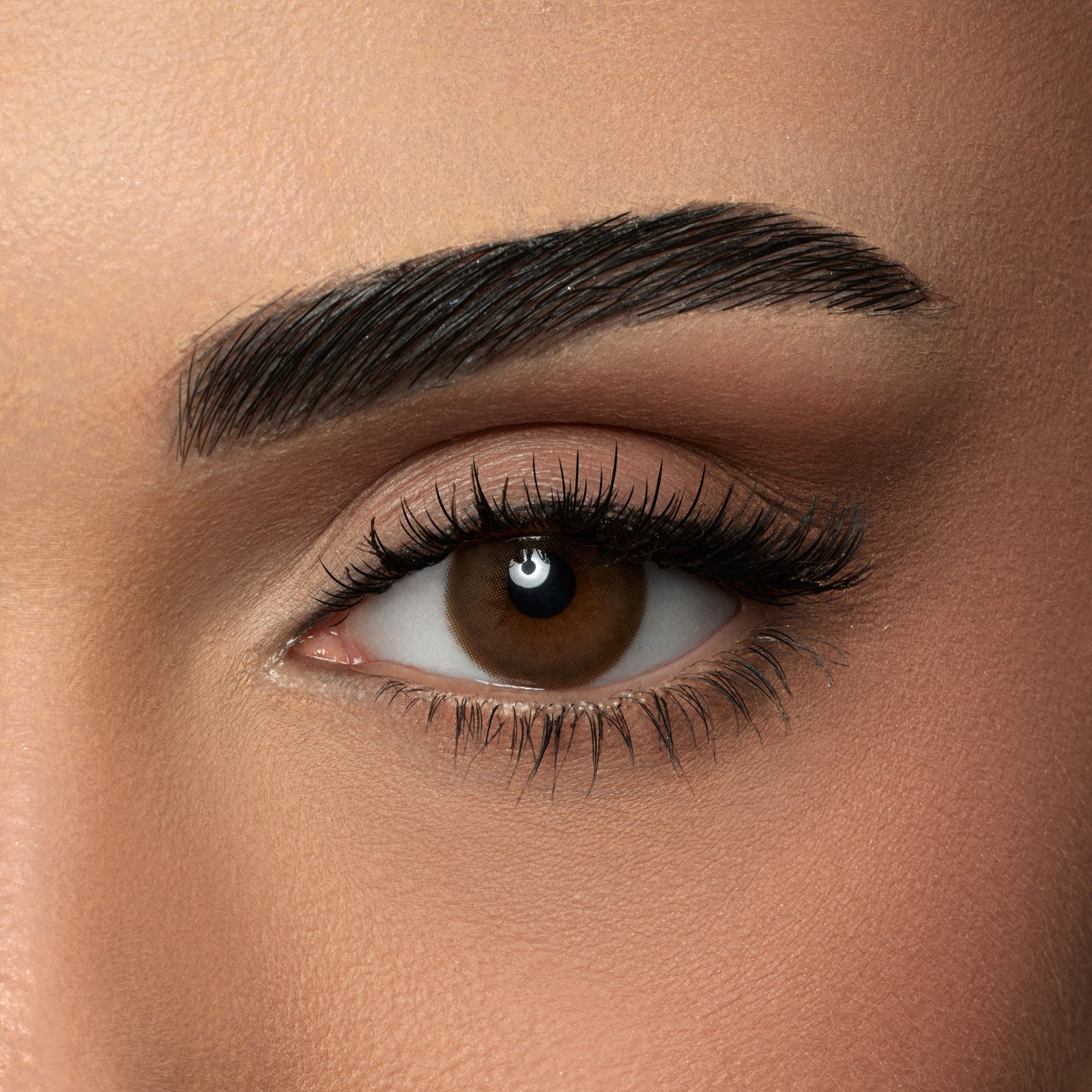 Contact Lenses - Mocca