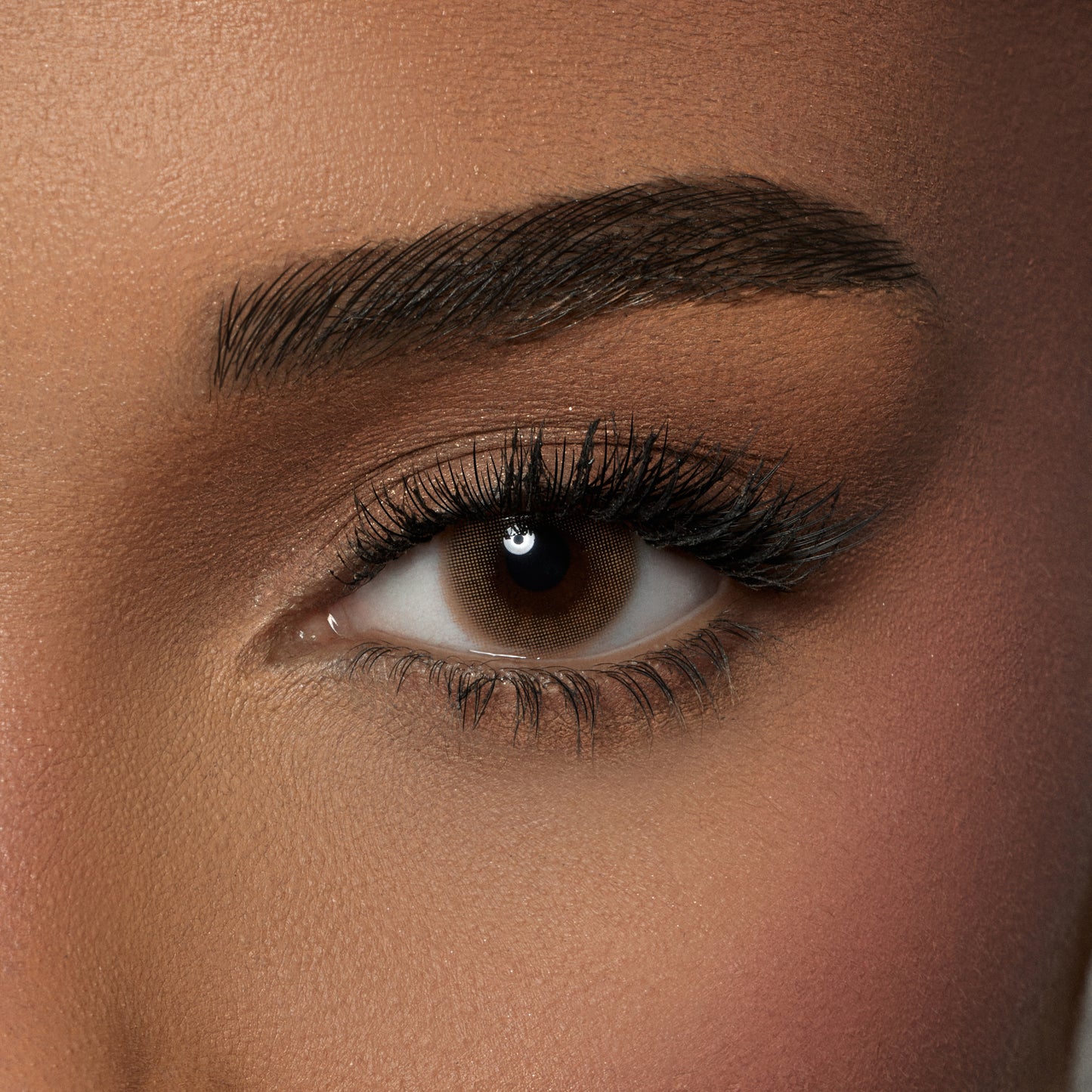 Amara Color Contact Lenses (One Day ) -  Toffee