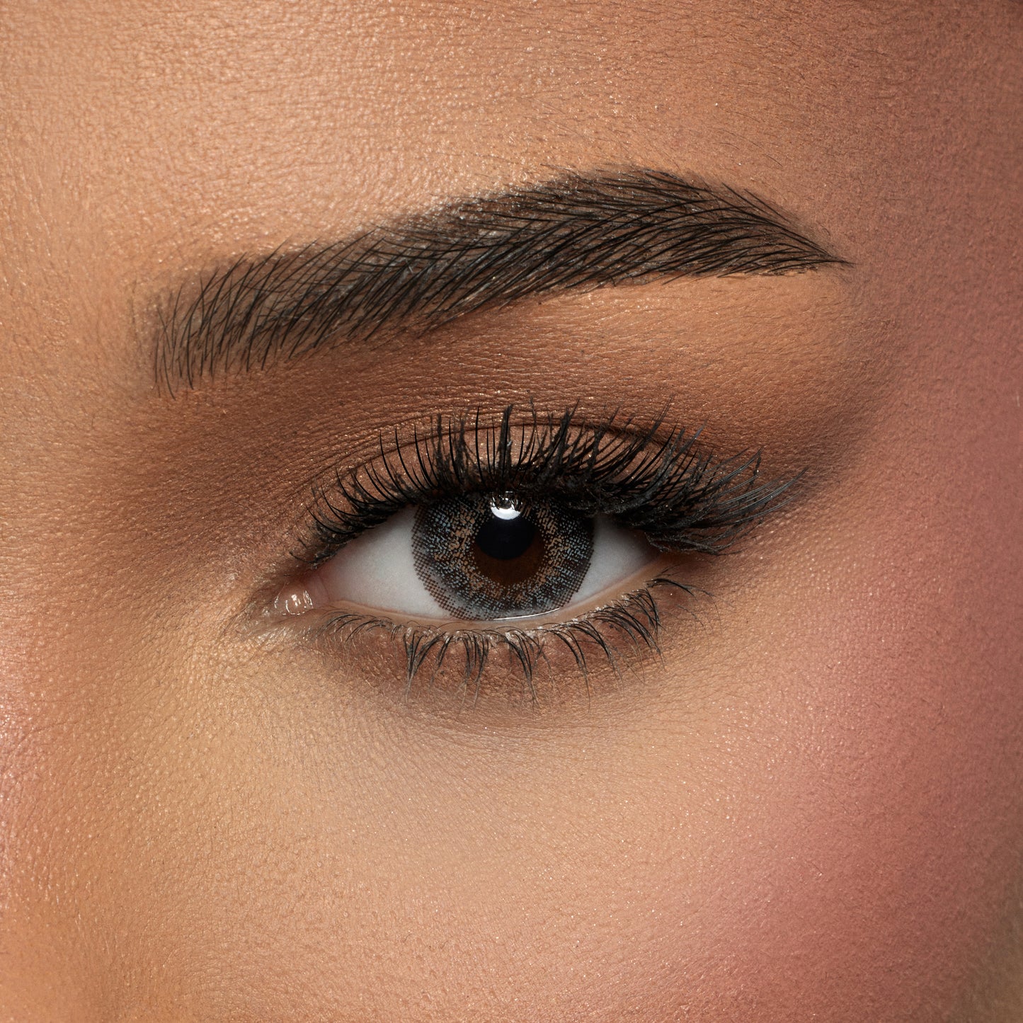 Amara Color Contact Lenses -  Gray (one Day )