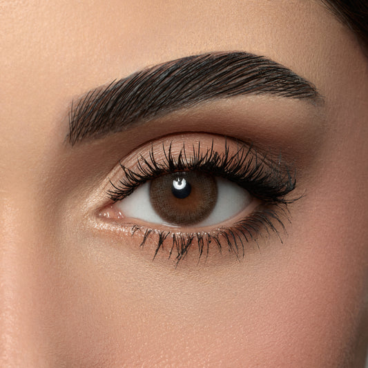 Contact Lenses - Dark Sepia