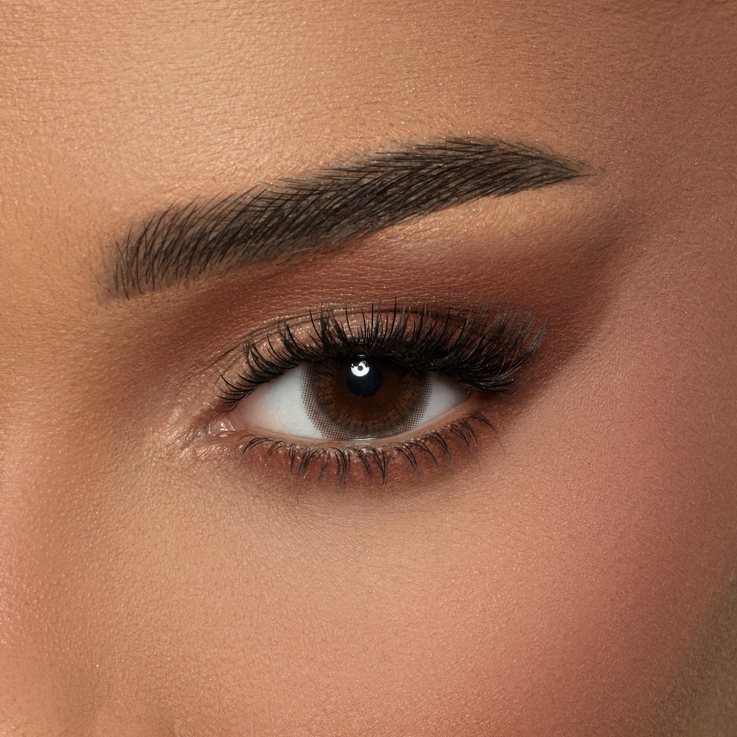 Contact Lenses - Espresso