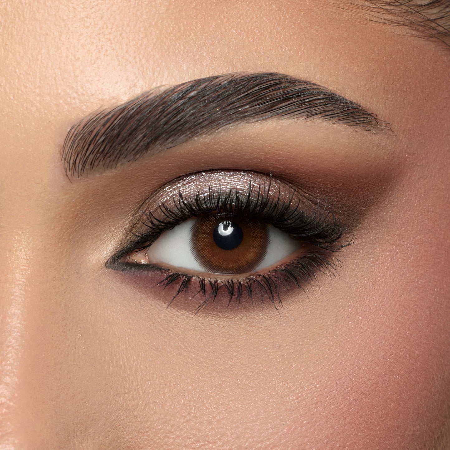 Contact Lenses - Espresso