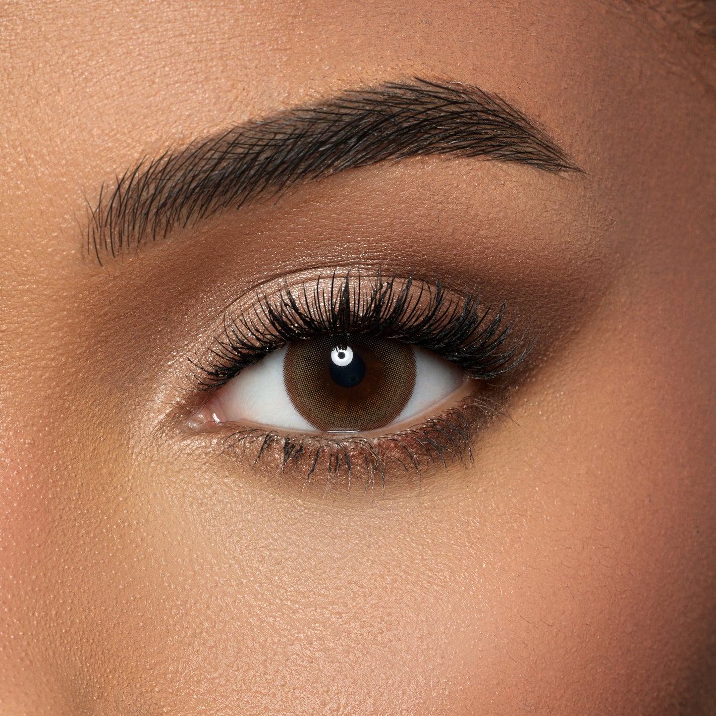 Amara Color Contact Lenses -  Dune