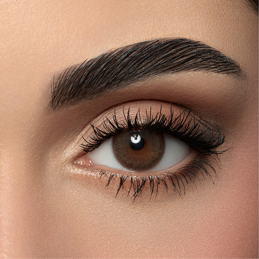 Contact Lenses - Dark Sepia