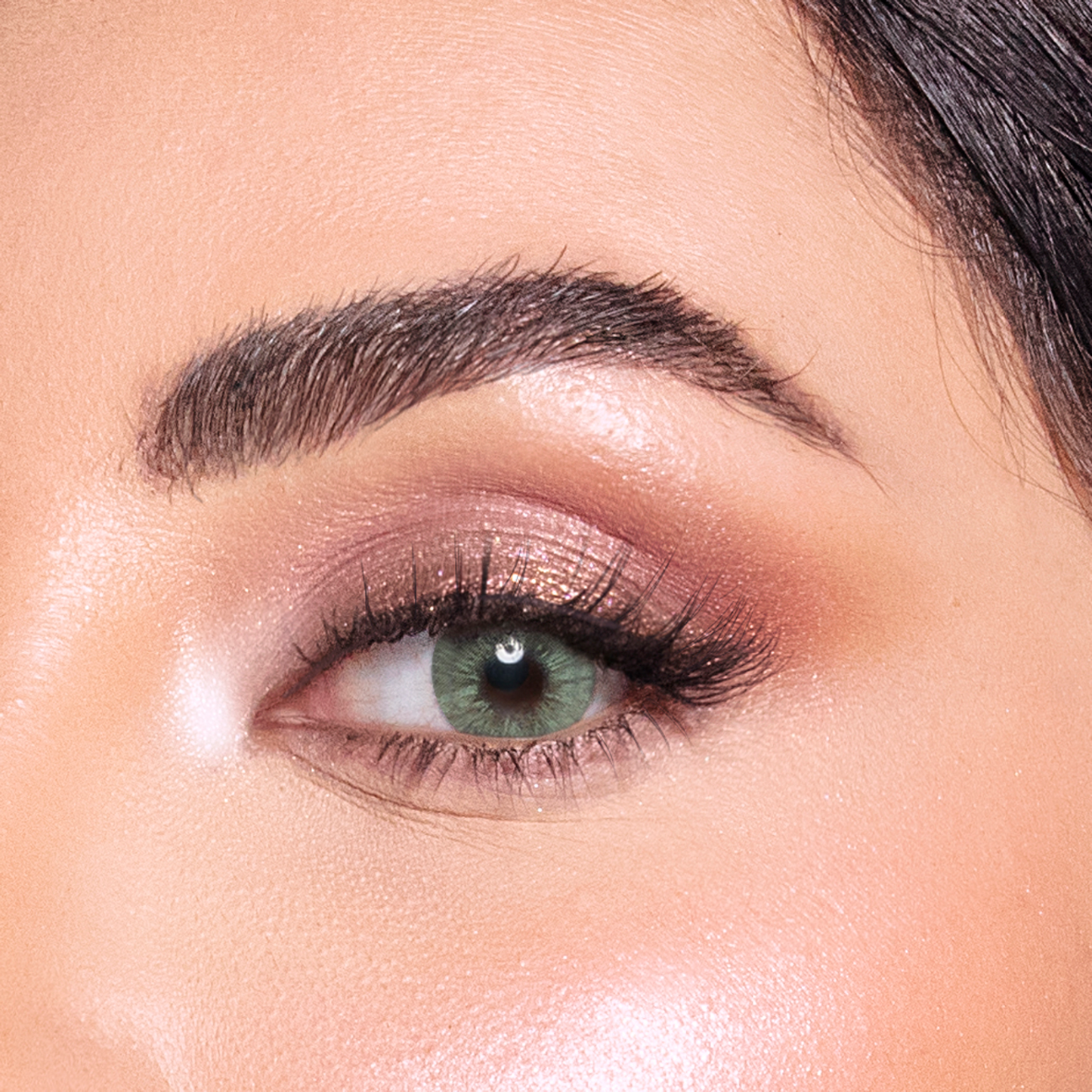 العدسات اللاصقة - بانثر اي + مجموعة BRUSHESQ المجانية