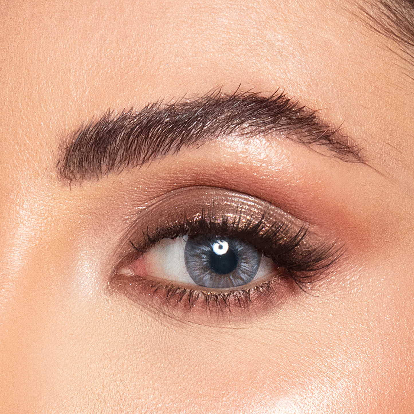 العدسات اللاصقة - سكاي جراي + مجموعة BRUSHESQ المجانية