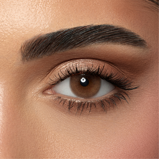 Amara Color Contact Lenses (One Day ) -  Toffee